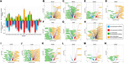 Pan-Cancer Methylated Dysregulation of Long Non-coding RNAs Reveals Epigenetic Biomarkers